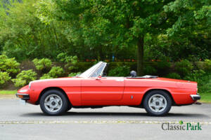 Bild 2/50 von Alfa Romeo 2000 Spider Veloce (1981)
