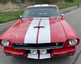 Imagen 3/7 de Ford Shelby GT 350 (1965)