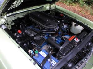 Image 14/18 of Ford Shelby GT 500 (1968)