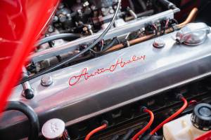 Image 46/50 of Austin-Healey 3000 Mk III (BJ8) (1964)