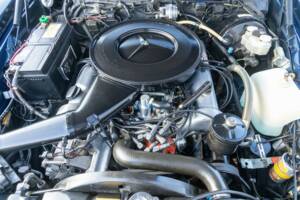 Bild 24/50 von Mercedes-Benz 280 SE 3,5 (1970)