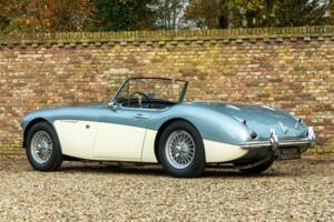 Bild 41/50 von Austin-Healey 3000 Mk I (BN7) (1960)