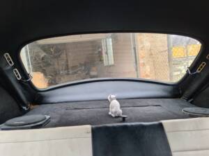 Image 14/30 of Volkswagen Maggiolino 1200 Mexico (1979)