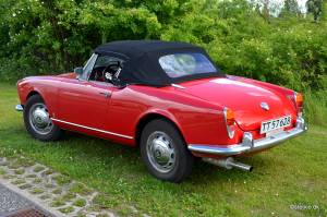 Bild 20/21 von Alfa Romeo Giulia 1600 Spider (1964)