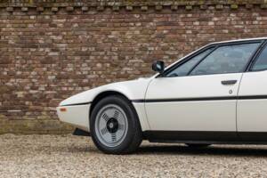 Immagine 33/50 di BMW M1 (1982)