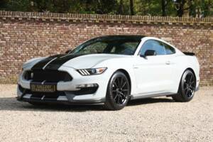 Bild 1/50 von Ford Mustang Shelby GT 350 (2017)