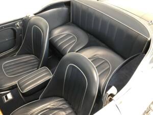 Bild 19/40 von Austin-Healey 3000 Mk I (BT7) (1960)