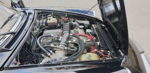 Image 19/32 of Alfa Romeo Spider Veloce (1987)