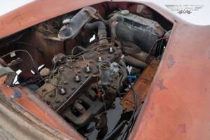 Image 13/13 of Woodill Wildfire (1955)