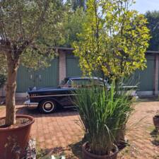 Image 115/144 of Chevrolet Bel Air Hardtop Coupe (1957)