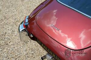 Bild 24/50 von Jaguar E-Type 3.8 (1964)