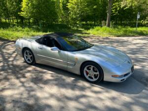 Image 25/50 of Chevrolet Corvette (2001)