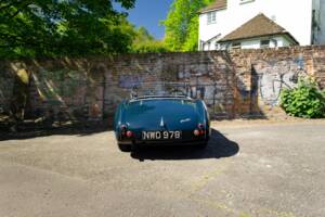 Bild 15/46 von Austin-Healey 100/4 (BN1) (1953)