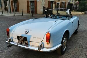 Bild 7/37 von Alfa Romeo Giulia 1600 Spider Veloce (1965)