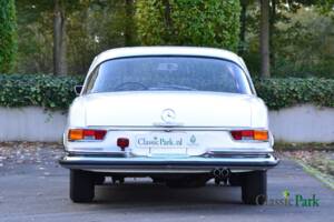 Image 4/50 of Mercedes-Benz 250 SE (1966)