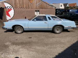 Afbeelding 6/29 van Ford Thunderbird (1979)