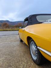 Afbeelding 15/45 van FIAT 850 Sport Spider (1969)