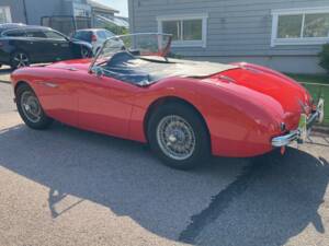 Image 6/8 of Austin-Healey 100/4 (BN1) (1954)