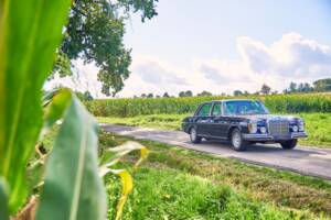 Image 8/38 of Mercedes-Benz 300 SEL 6.3 (1970)