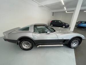Bild 9/40 von Chevrolet Corvette 25th Anniversary (1978)