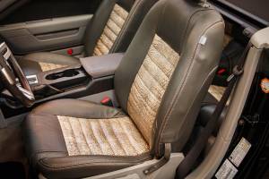 Image 29/49 of Ford Mustang GT (2006)