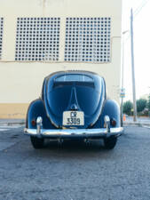 Bild 61/135 von Volkswagen Käfer 1200 Export &quot;Ovali&quot; (1954)