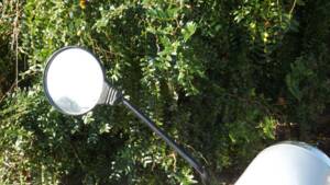 Imagen 30/43 de Piaggio Vespa 125 Primavera (1973)