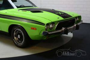Bild 11/19 von Dodge Challenger 340 (1973)
