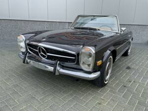 Immagine 6/36 di Mercedes-Benz 280 SL (1969)