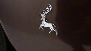 Image 13/15 of Auburn 852 Phaeton (1936)