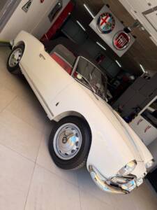 Image 52/72 of Alfa Romeo Giulietta Spider (1957)