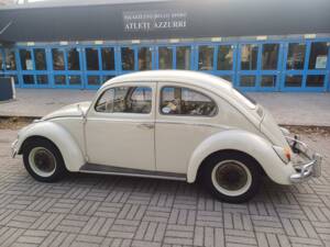 Bild 5/36 von Volkswagen Käfer 1200 Export "Dickholmer" (1963)