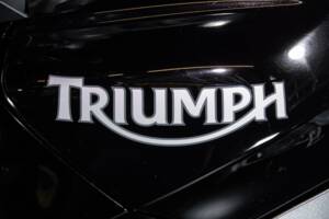 Bild 21/50 von Triumph DUMMY (2008)