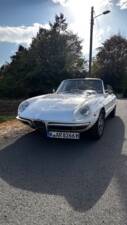 Afbeelding 4/19 van Alfa Romeo 1750 Spider (1969)