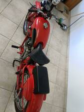 Afbeelding 23/39 van Moto Guzzi DUMMY (1950)