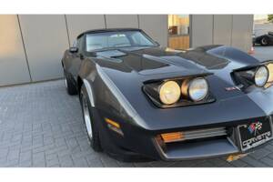 Bild 11/14 von Chevrolet Corvette Sting Ray (1981)