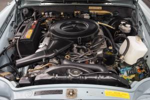 Image 19/39 of Mercedes-Benz 280 SE 3,5 (1971)