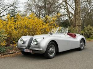 Image 41/50 of Jaguar XK 120 OTS (1953)