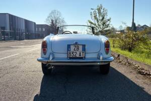 Bild 5/28 von Alfa Romeo Giulietta Spider (1961)