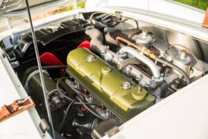 Immagine 17/17 di Austin-Healey 100 S (1955)