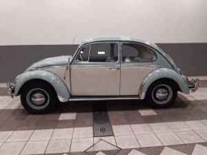 Bild 5/16 von Volkswagen Käfer 1200 A (1965)