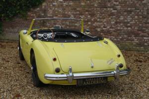 Bild 13/50 von Austin-Healey 3000 Mk I (BN7) (1960)