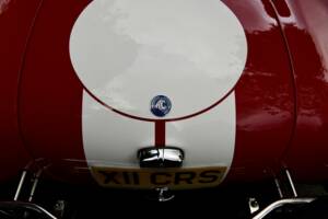 Image 34/50 de AC Cobra 289 (2000)