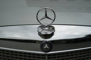 Image 38/95 of Mercedes-Benz 280 SE 3,5 (1970)