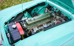 Immagine 20/48 di Austin-Healey 3000 Mk I (BN7) (1960)