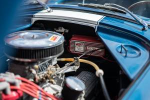Immagine 15/44 di Everett-Morrison Shelby Cobra (1968)