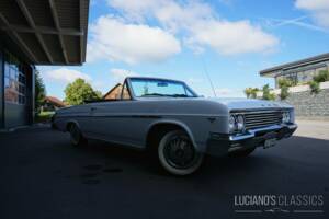 Bild 10/44 von Buick Skylark Convertible (1965)