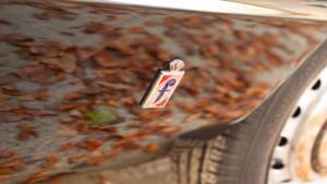 Image 18/51 of Alfa Romeo 1600 Spider Duetto (1966)