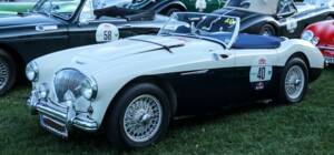Image 2/4 of Austin-Healey 100/4 (BN1) (1953)