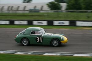 Image 3/50 of Austin-Healey Sprinzel Sebring Sprite (1958)
